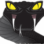 black-mamba-gloves-logo